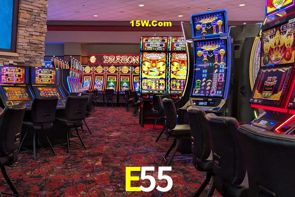 Bonus Features E55