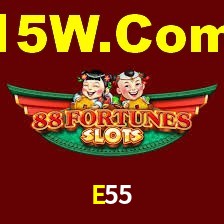Programa VIP E55