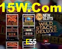 E55 Casino