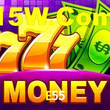 Premium Interface E55