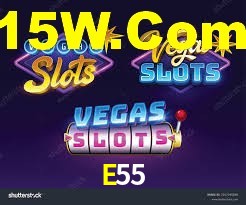 E55