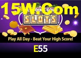 E55
